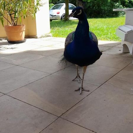 Schloss Tressow Bobitz Ngoại thất bức ảnh