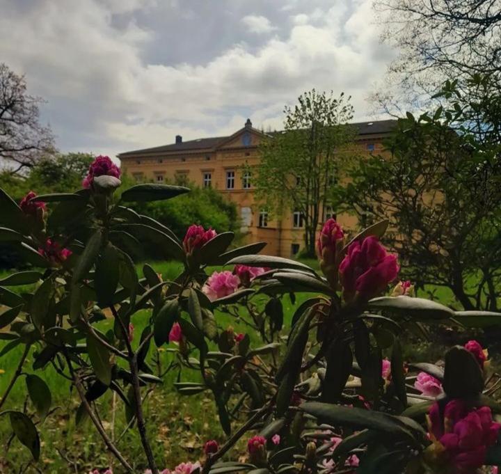 Schloss Tressow Bobitz Ngoại thất bức ảnh